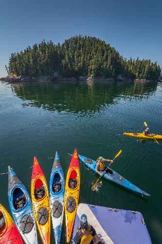 alaska sea kayaking tour cruise